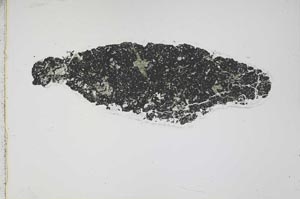 Plane Polarized, S41841/A