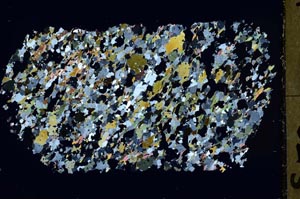 Cross Polarized, S41843