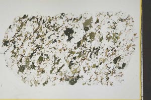 Plane Polarized, S41843
