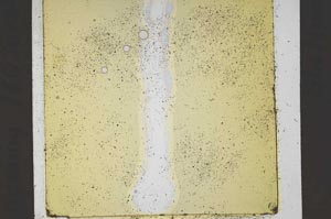 Plane Polarized, S41845