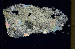 Cross Polarized, S41853