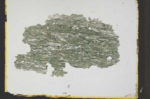 Plane Polarized, S41863