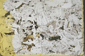 Plane Polarized, S41864/A