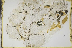 Plane Polarized, S41864/B