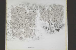 Plane Polarized, S41866/A