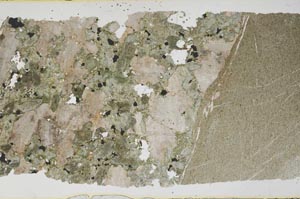 Plane Polarized, S41868