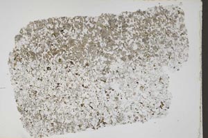 Plane Polarized, S41872