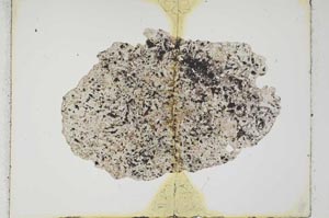 Plane Polarized, S41892