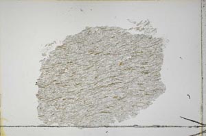 Plane Polarized, S41896