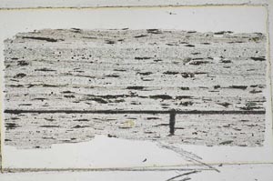 Plane Polarized, S41897/A