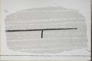 Plane Polarized, S41898