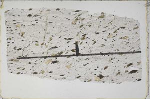 Plane Polarized, S41899
