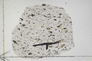 Plane Polarized, S41899/A