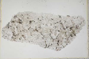 Plane Polarized, S41916
