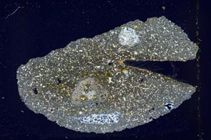 Cross Polarized, S41932