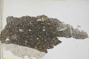 Plane Polarized, S41934