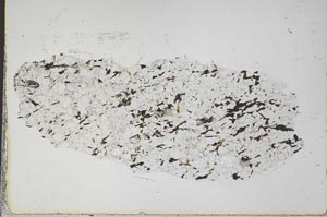 Plane Polarized, S41957