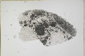 Plane Polarized, S41974