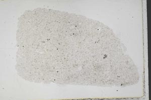 Plane Polarized, S41978