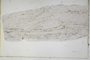 Plane Polarized, S42045