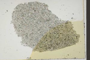 Plane Polarized, S42078