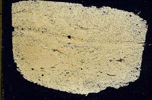 Cross Polarized, S42084