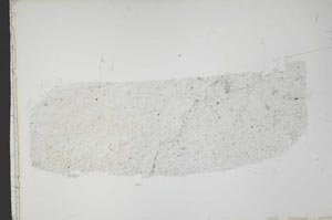 Plane Polarized, S42128