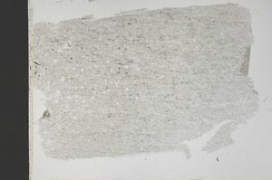 Plane Polarized, S42132