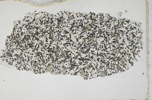 Plane Polarized, S42158