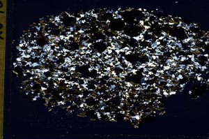 Cross Polarized, S42163