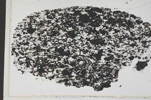 Plane Polarized, S42163