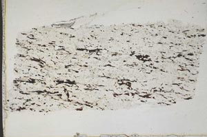 Plane Polarized, S42209