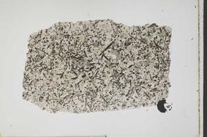 Plane Polarized, S42218