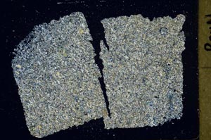 Cross Polarized, S42219