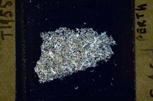 Cross Polarized, S42221