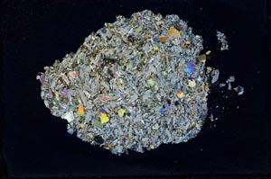 Cross Polarized, S42222