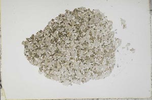 Plane Polarized, S42222