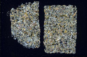 Cross Polarized, S42223