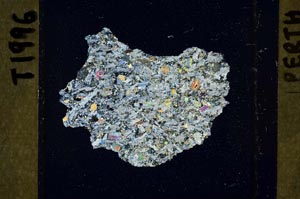 Cross Polarized, S42225