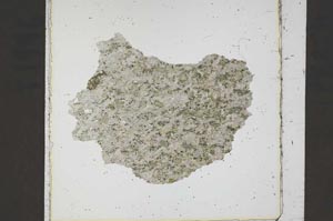 Plane Polarized, S42225