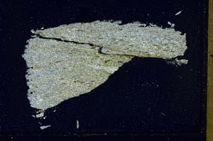Cross Polarized, S42296