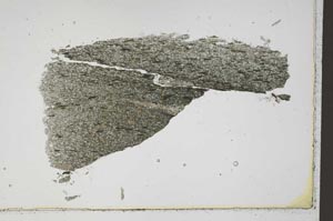 Plane Polarized, S42296