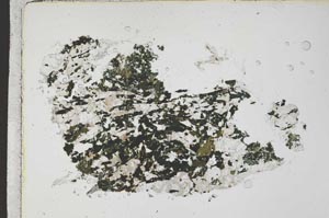 Plane Polarized, S42342