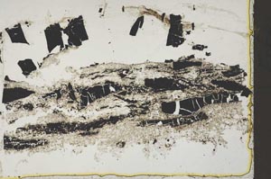 Plane Polarized, S42422