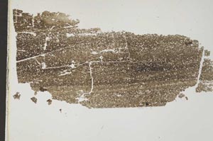 Plane Polarized, S42428