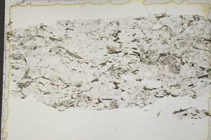 Plane Polarized, S42442
