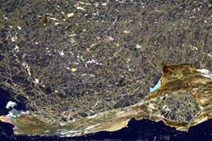 Cross Polarized, S42449