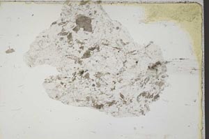 Plane Polarized, S42473