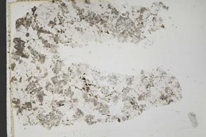 Plane Polarized, S42487