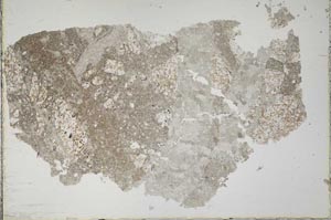 Plane Polarized, S42488